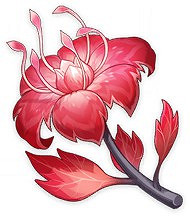 《原神》稻妻特產採集簡易攻略