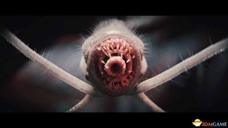 《柏德之門3》通關流程圖文攻略