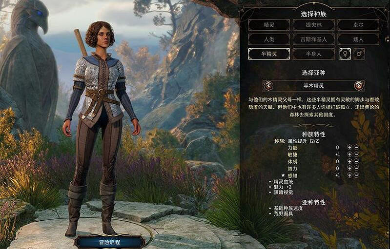 《柏德之門3》半精靈特性效果介紹