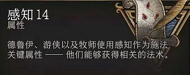 《柏德之門3》屬性詳解