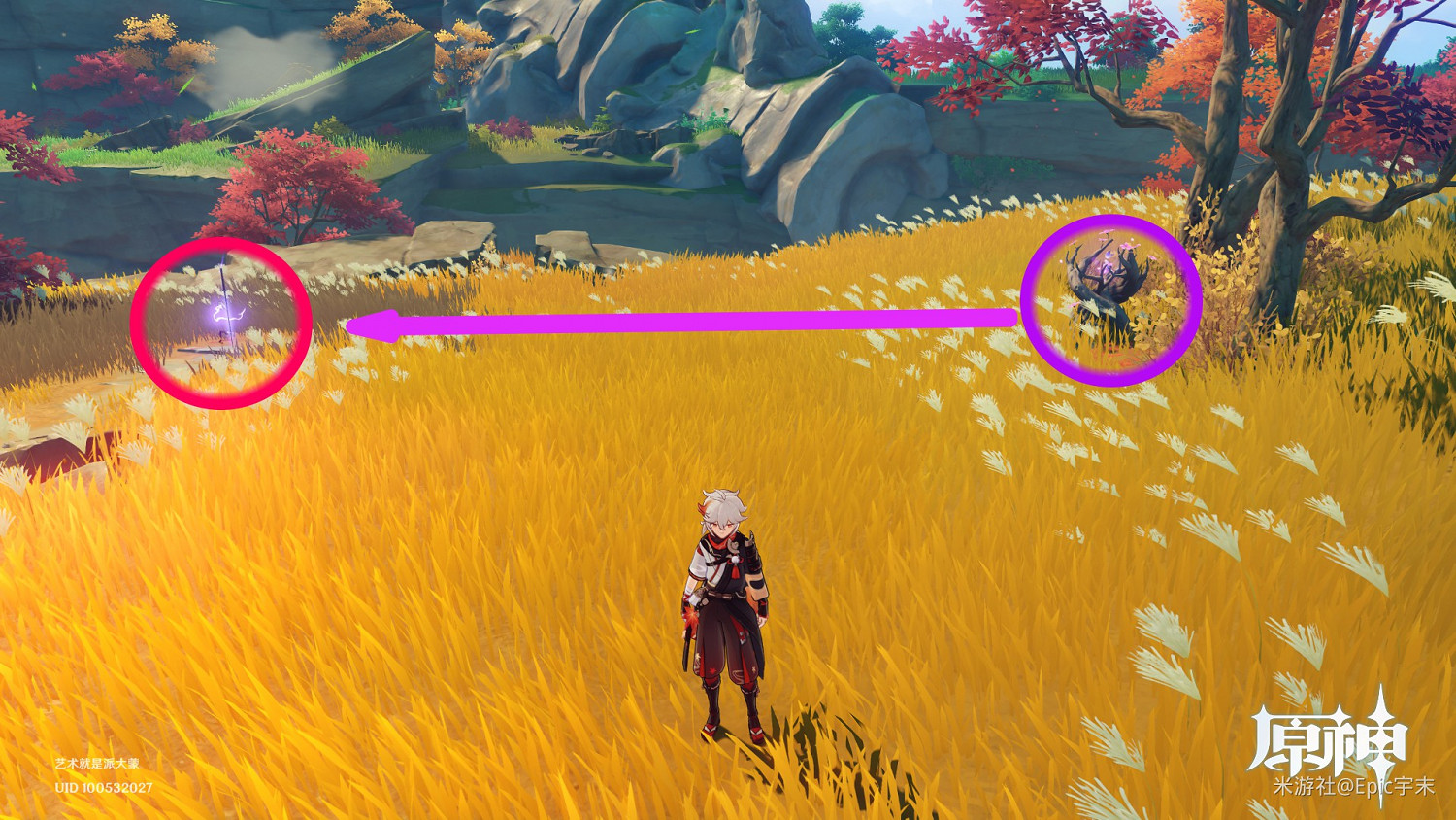 《原神》腐肉朽處花爭妍成就獲取指南