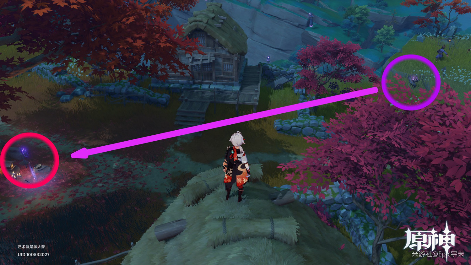 《原神》腐肉朽處花爭妍成就獲取指南