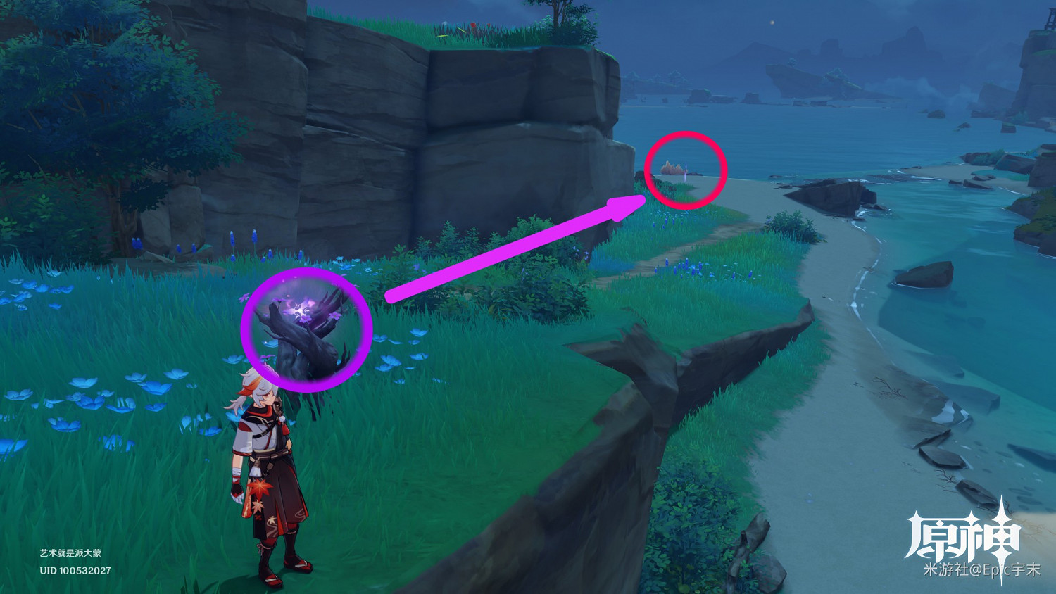 《原神》腐肉朽處花爭妍成就獲取指南