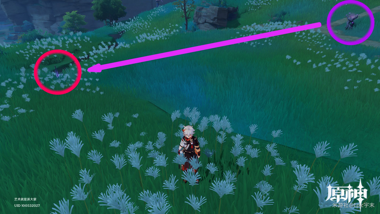 《原神》腐肉朽處花爭妍成就獲取指南