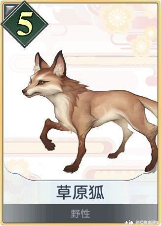 《天諭手遊》諭戲卡組分享 養猴流入門野性卡組 《天諭手遊》諭戲卡組分享 養猴流入門野性卡組