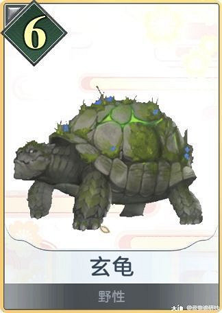 《天諭手遊》諭戲卡組分享 養猴流入門野性卡組 《天諭手遊》諭戲卡組分享 養猴流入門野性卡組