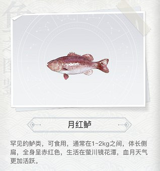 《天諭手遊》怎麼釣魚 看完秒變釣魚高手 《天諭手遊》怎麼釣魚 看完秒變釣魚高手