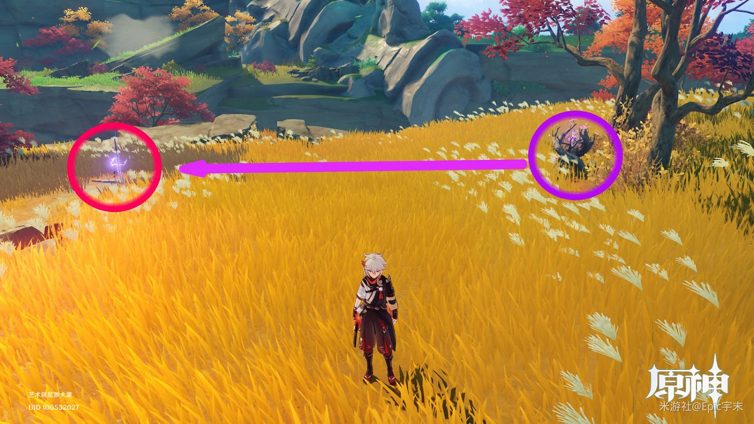 原神 (Genshin Impact) 腐肉朽處花爭妍成就獲取指南 原神 (Genshin Impact) 腐肉朽處花爭妍成就獲取指南