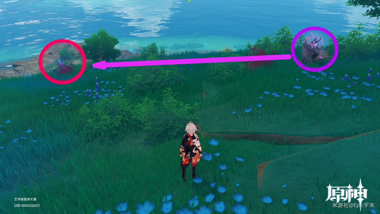 原神 (Genshin Impact) 腐肉朽處花爭妍成就獲取指南 原神 (Genshin Impact) 腐肉朽處花爭妍成就獲取指南