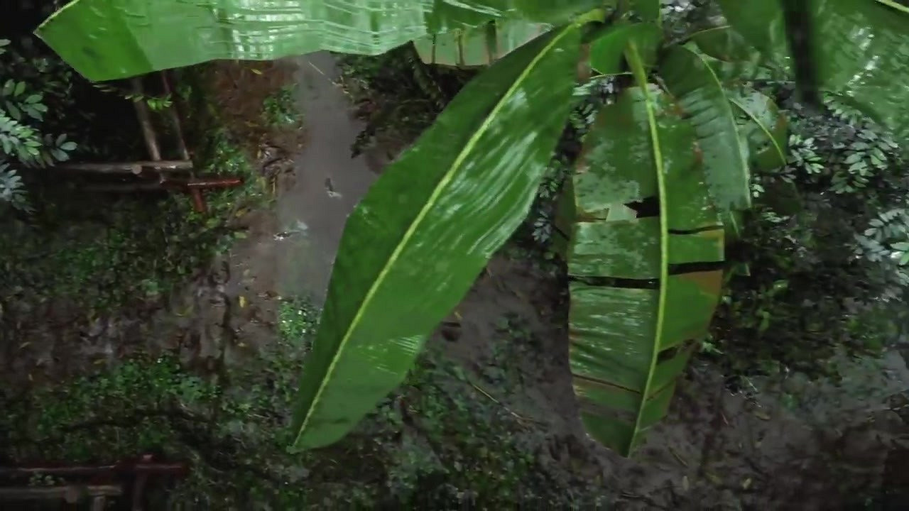 栩栩如生 虛幻5引擎 “森林” 環境影片展示 栩栩如生 虛幻5引擎 “森林” 環境影片展示