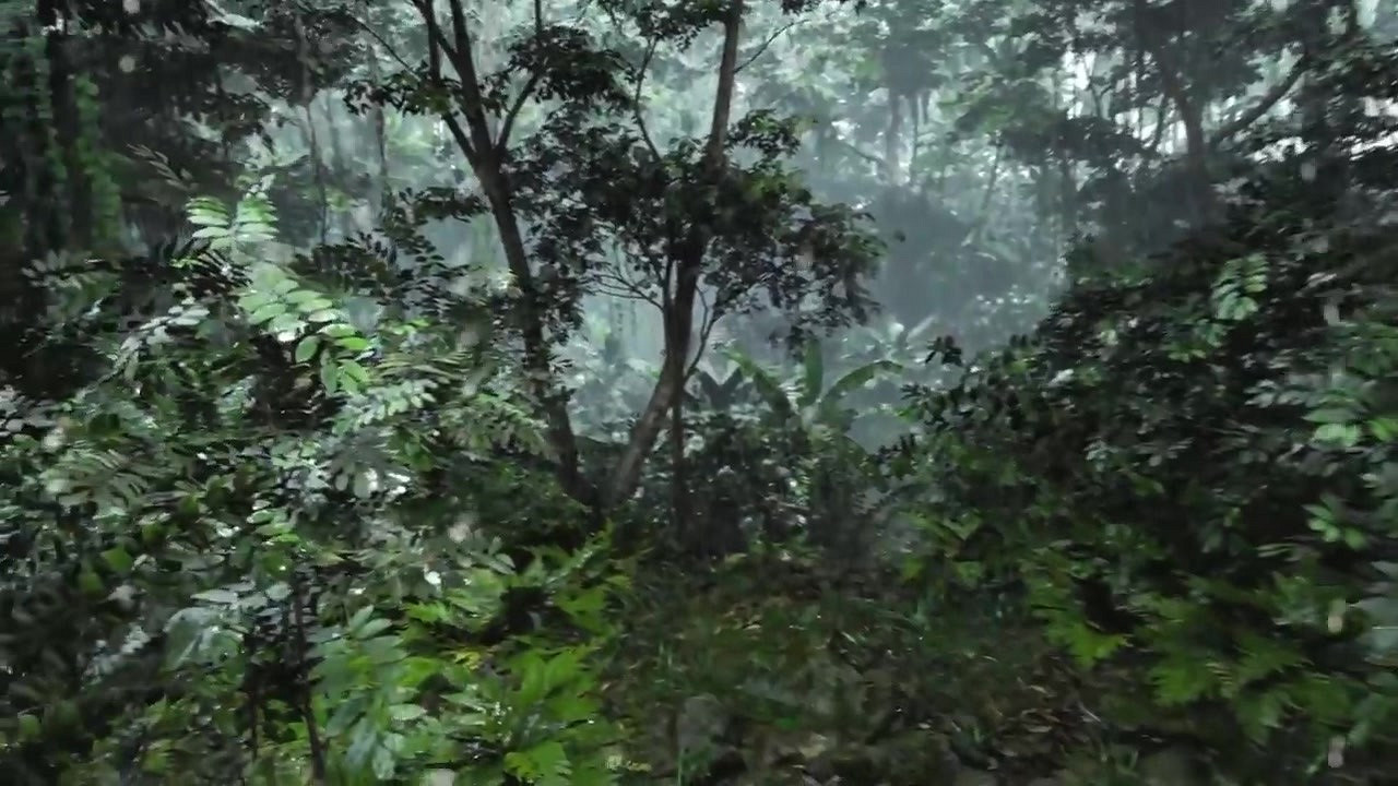 栩栩如生 虛幻5引擎 “森林” 環境影片展示 栩栩如生 虛幻5引擎 “森林” 環境影片展示