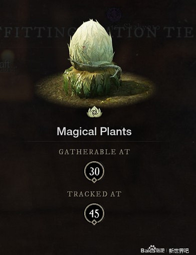 《New World》生活職業玩法講解