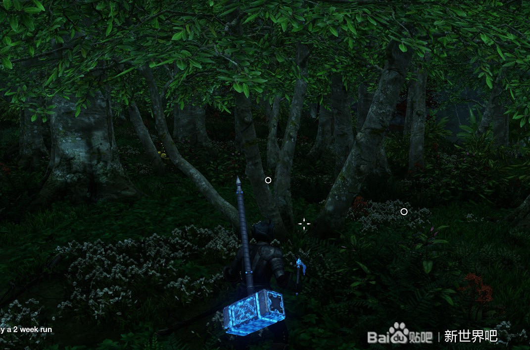 《New World》生活職業玩法講解