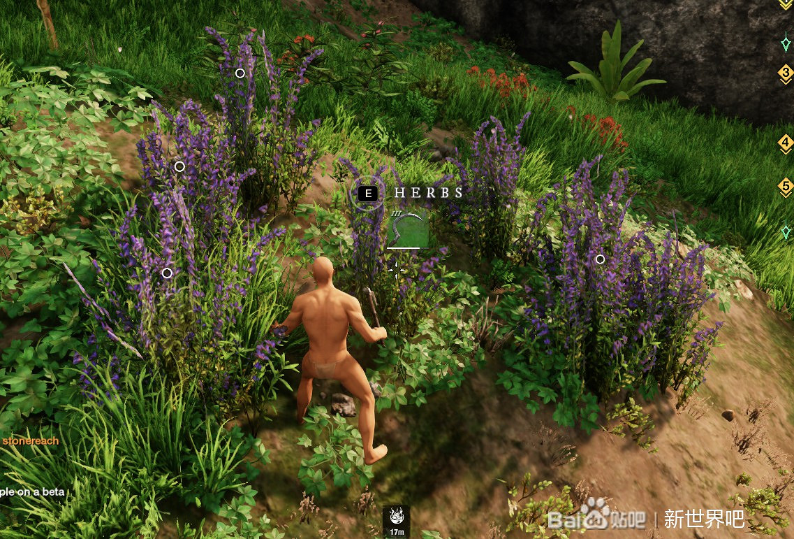 《New World》生活職業玩法講解