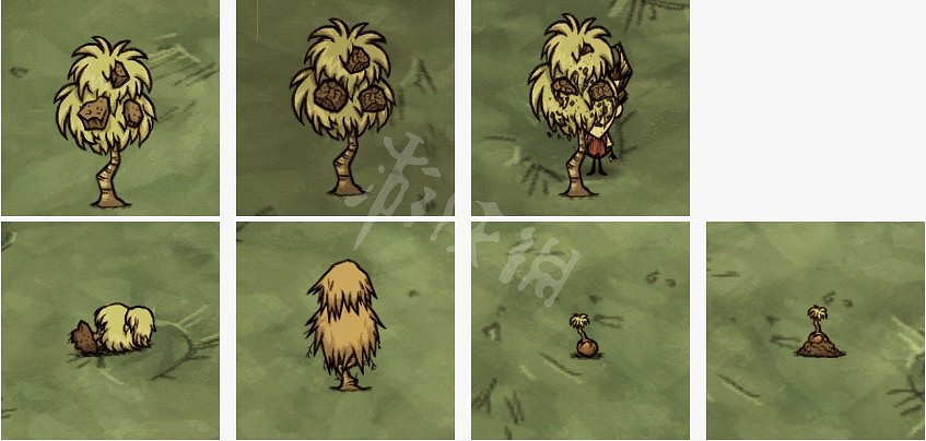 《饑荒連線版》石果的作用分享 《饑荒連線版》石果的作用分享