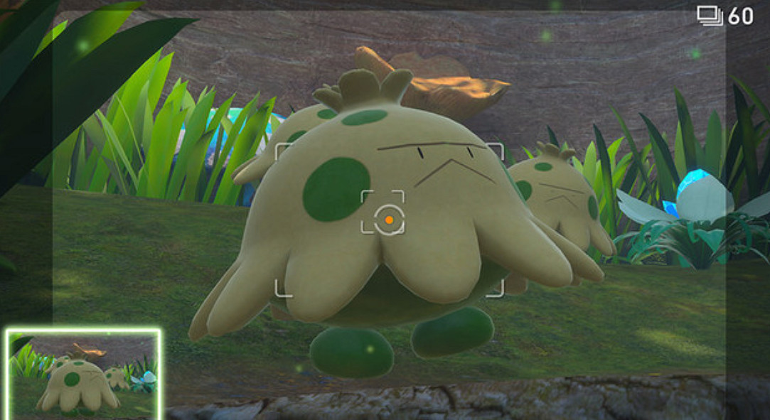 《New寶可夢隨樂拍》免費更新上線 新區域新寶可夢登場 《New寶可夢隨樂拍》免費更新上線 新區域新寶可夢登場