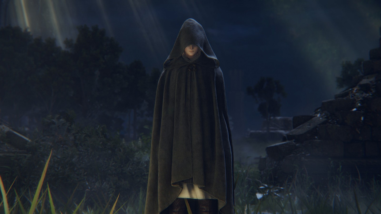 《艾爾登法環》Steam頁面上線 售價暫未公布支援中文 《艾爾登法環》Steam頁面上線 售價暫未公布支援中文