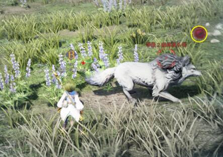 《神祐釋放》界面介紹