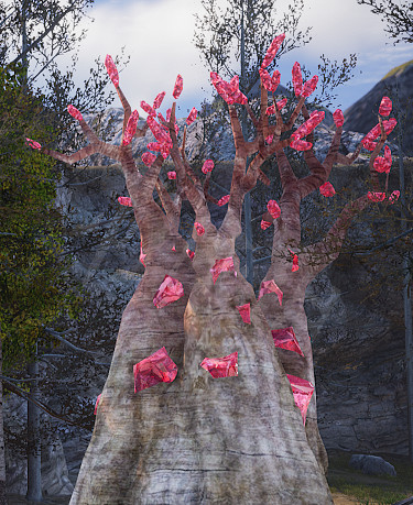 《神祐釋放》採集材料種類詳解