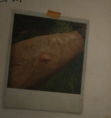 《綠色地獄》新手入門攻略 物品製作一覽 《綠色地獄》新手入門攻略 物品製作一覽