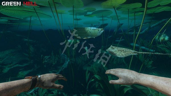 《綠色地獄》劇情分析