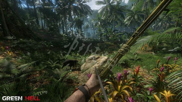 《綠色地獄》劇情分析