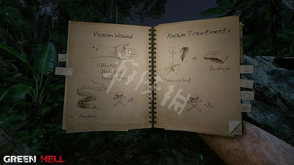 《綠色地獄》劇情分析