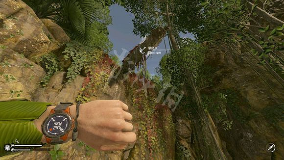 《綠色地獄》地點攻略指南 《綠色地獄》地點攻略指南