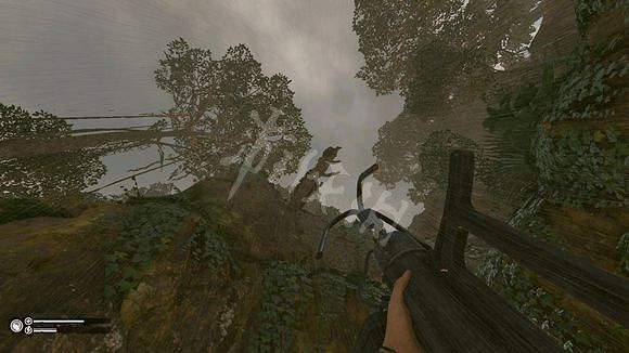 《綠色地獄》地點攻略指南 《綠色地獄》地點攻略指南