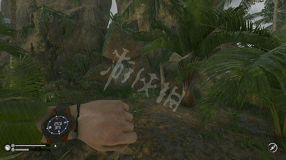 《綠色地獄》地點攻略指南 《綠色地獄》地點攻略指南