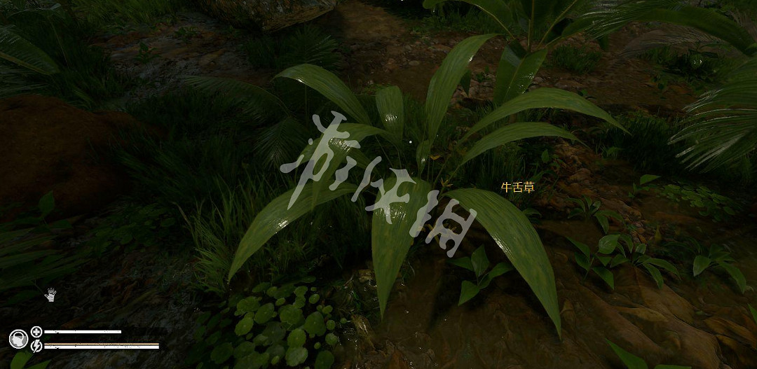 《綠色地獄》新手教學生火操作