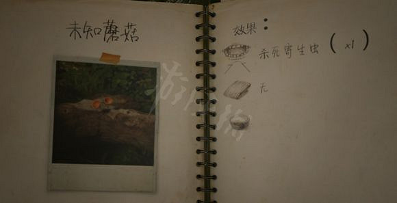 《綠色地獄》寄生蟲治療方法介紹