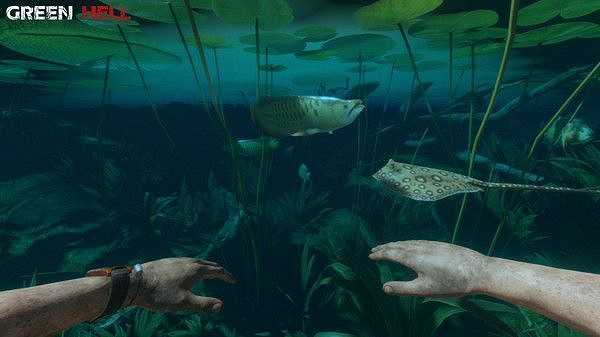 《綠色地獄》遊戲新手攻略推薦