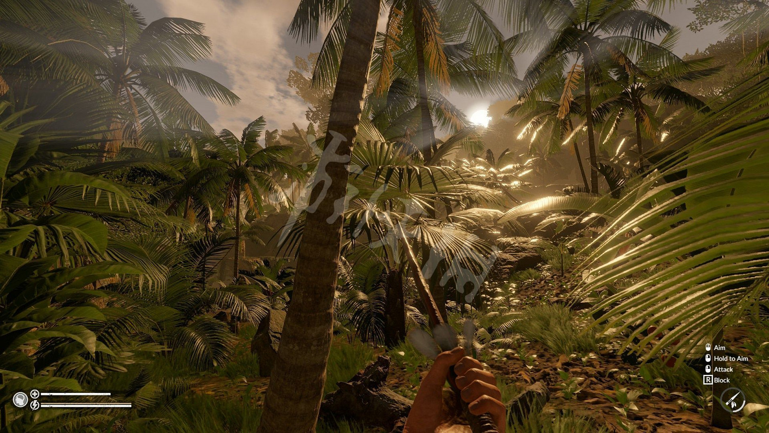 《綠色地獄》新人連線技巧分享上手 《綠色地獄》新人連線技巧分享上手