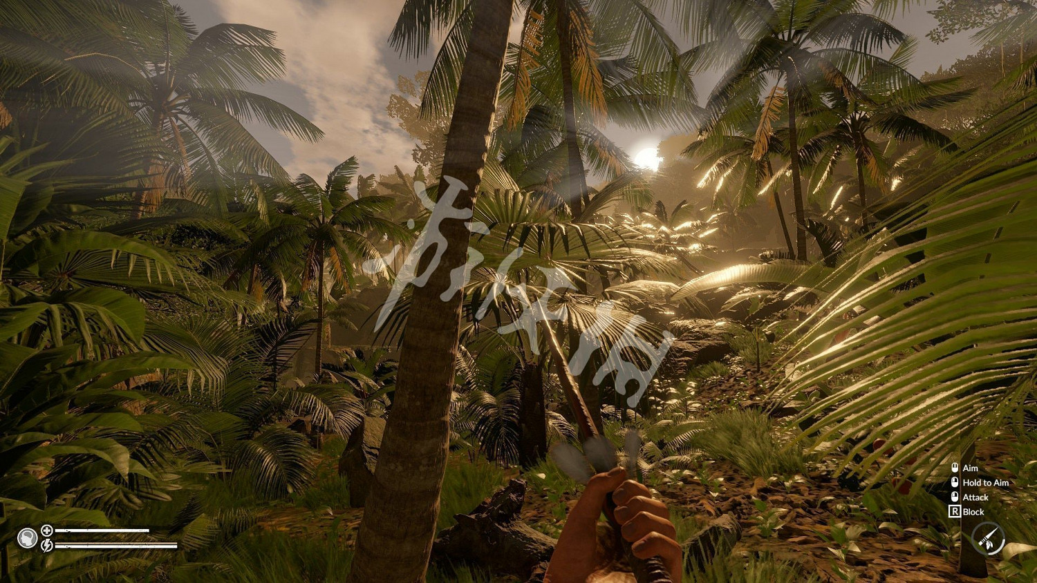 《綠色地獄》戰鬥技巧推薦戰鬥 《綠色地獄》戰鬥技巧推薦戰鬥