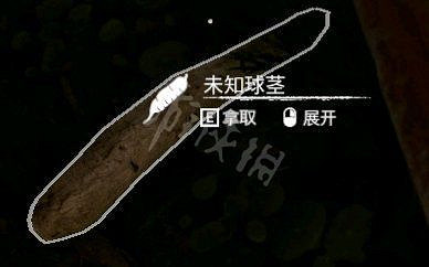 《綠色地獄》木薯獲得方法一覽