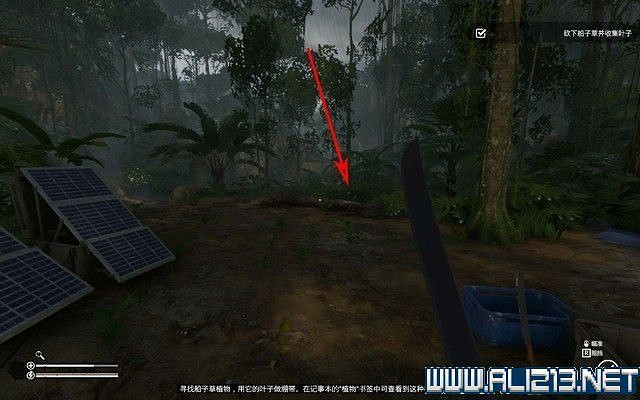 《綠色地獄》新手入門教學圖文詳解 全關卡玩法技巧詳解 《綠色地獄》新手入門教學圖文詳解 全關卡玩法技巧詳解