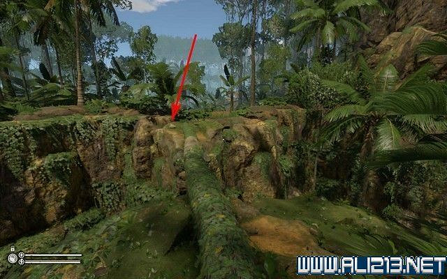 《綠色地獄》新手入門教學圖文詳解 全關卡玩法技巧詳解 《綠色地獄》新手入門教學圖文詳解 全關卡玩法技巧詳解