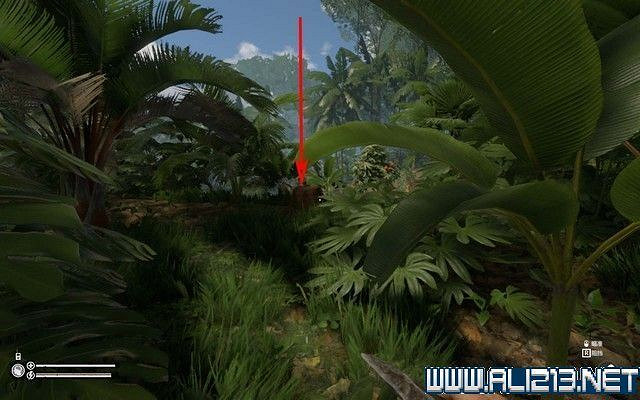 《綠色地獄》新手入門教學圖文詳解 全關卡玩法技巧詳解 《綠色地獄》新手入門教學圖文詳解 全關卡玩法技巧詳解