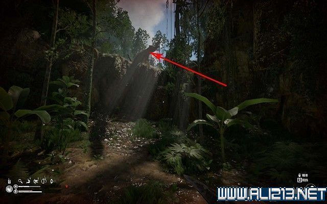 《綠色地獄》新手入門教學圖文詳解 全關卡玩法技巧詳解 《綠色地獄》新手入門教學圖文詳解 全關卡玩法技巧詳解