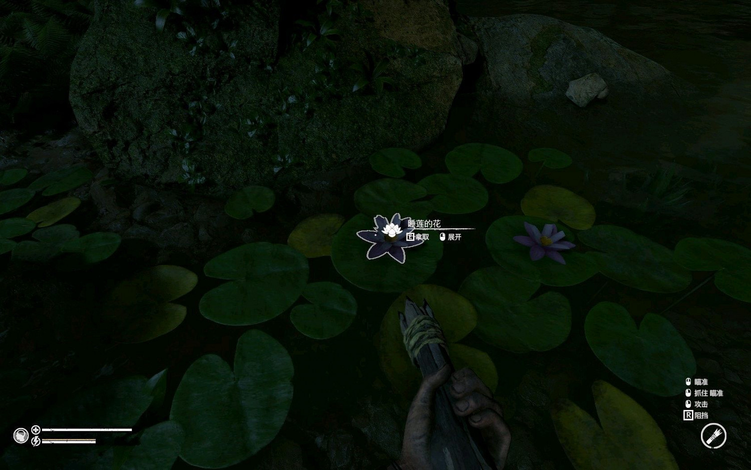 《綠色地獄》全可食用物品圖鑒及效果一覽