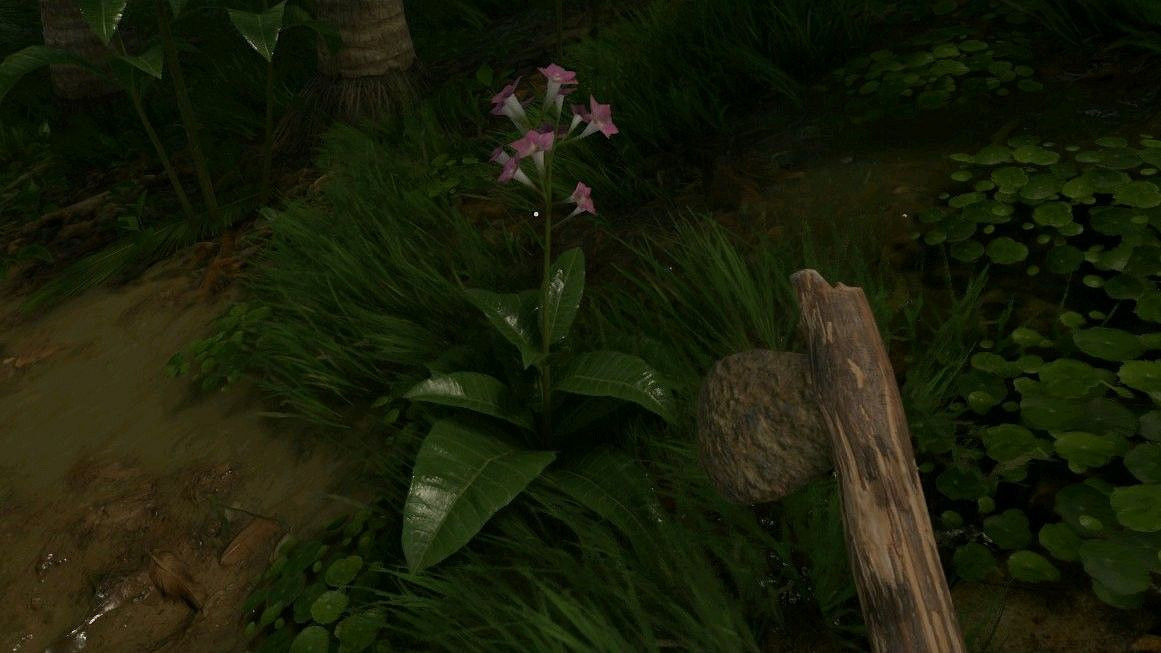 《綠色地獄》全可食用物品圖鑒及效果一覽