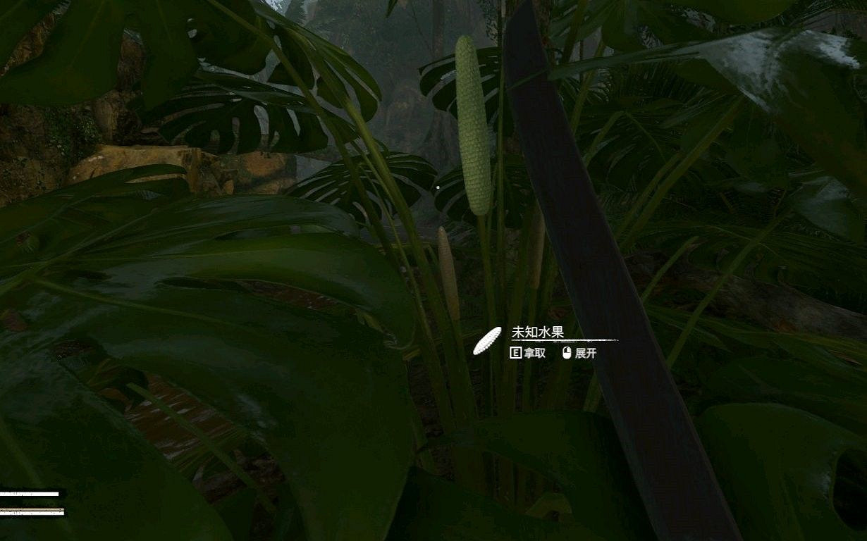 《綠色地獄》全可食用物品圖鑒及效果一覽