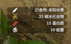 《綠色地獄》全可食用物品圖鑒及效果一覽