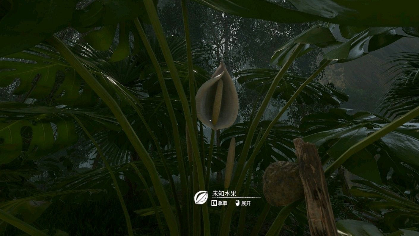 《綠色地獄》全可食用物品圖鑒及效果一覽