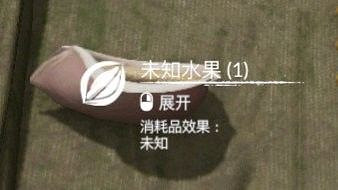 《綠色地獄》全可食用物品圖鑒及效果一覽