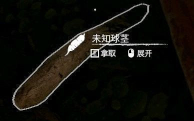 《綠色地獄》全可食用物品圖鑒及效果一覽