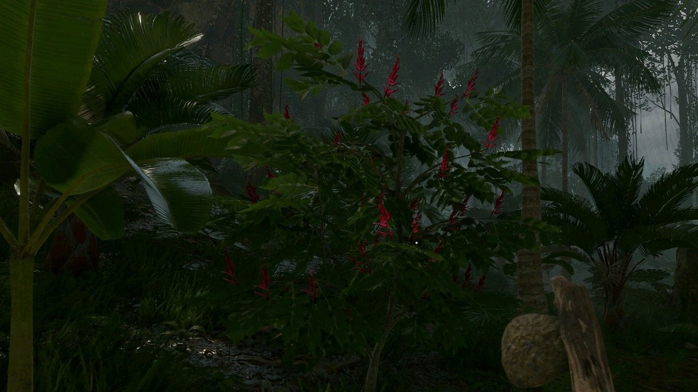 《綠色地獄》全可食用物品圖鑒及效果一覽