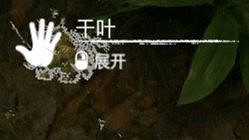 《綠色地獄》全可食用物品圖鑒及效果一覽