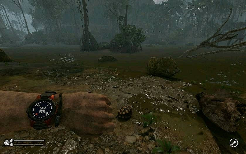 《綠色地獄》全可食用物品圖鑒及效果一覽